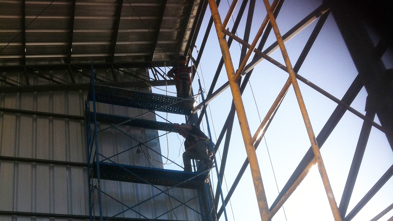 Proyecto 5